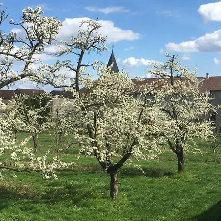 Couette-café Spacieuses Avec Salle D'eau, Salon Cheminée, Jardin Détente - Lorraine - Fr-1-585-143