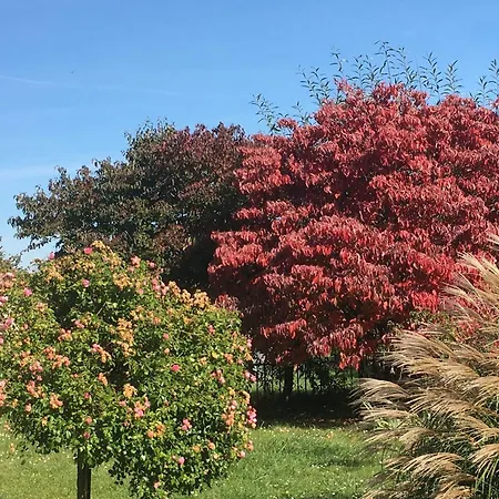 Couette-café Spacieuses Avec Salle D'eau, Salon Cheminée, Jardin Détente - Lorraine - Fr-1-585-143 Watronville