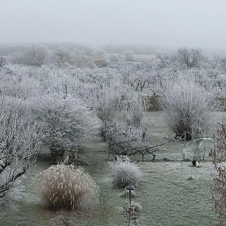Spacieuses Avec Salle D'eau, Salon Cheminée, Jardin Détente - Lorraine - Fr-1-585-143 Couette-café *