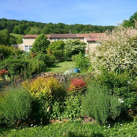 Spacieuses Avec Salle D'eau, Salon Cheminée, Jardin Détente - Lorraine - Fr-1-585-143