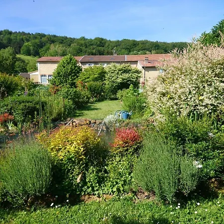 Spacieuses Avec Salle D'eau, Salon Cheminee, Jardin Detente - Lorraine - Fr-1-585-143