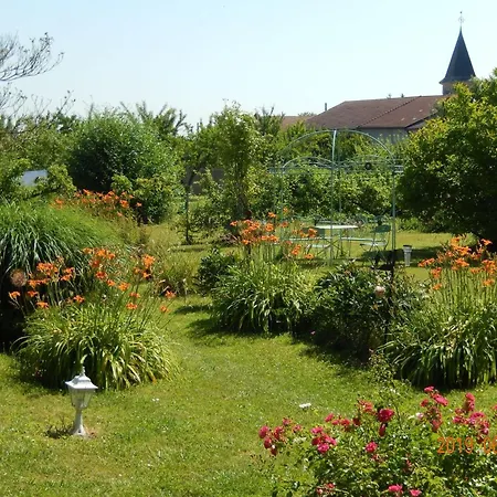 Spacieuses Avec Salle D'eau, Salon Cheminee, Jardin Detente - Lorraine